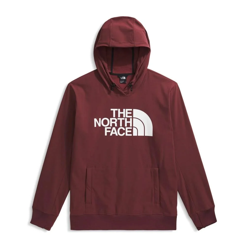 The North Face Mens Tekno Logo Hoodie