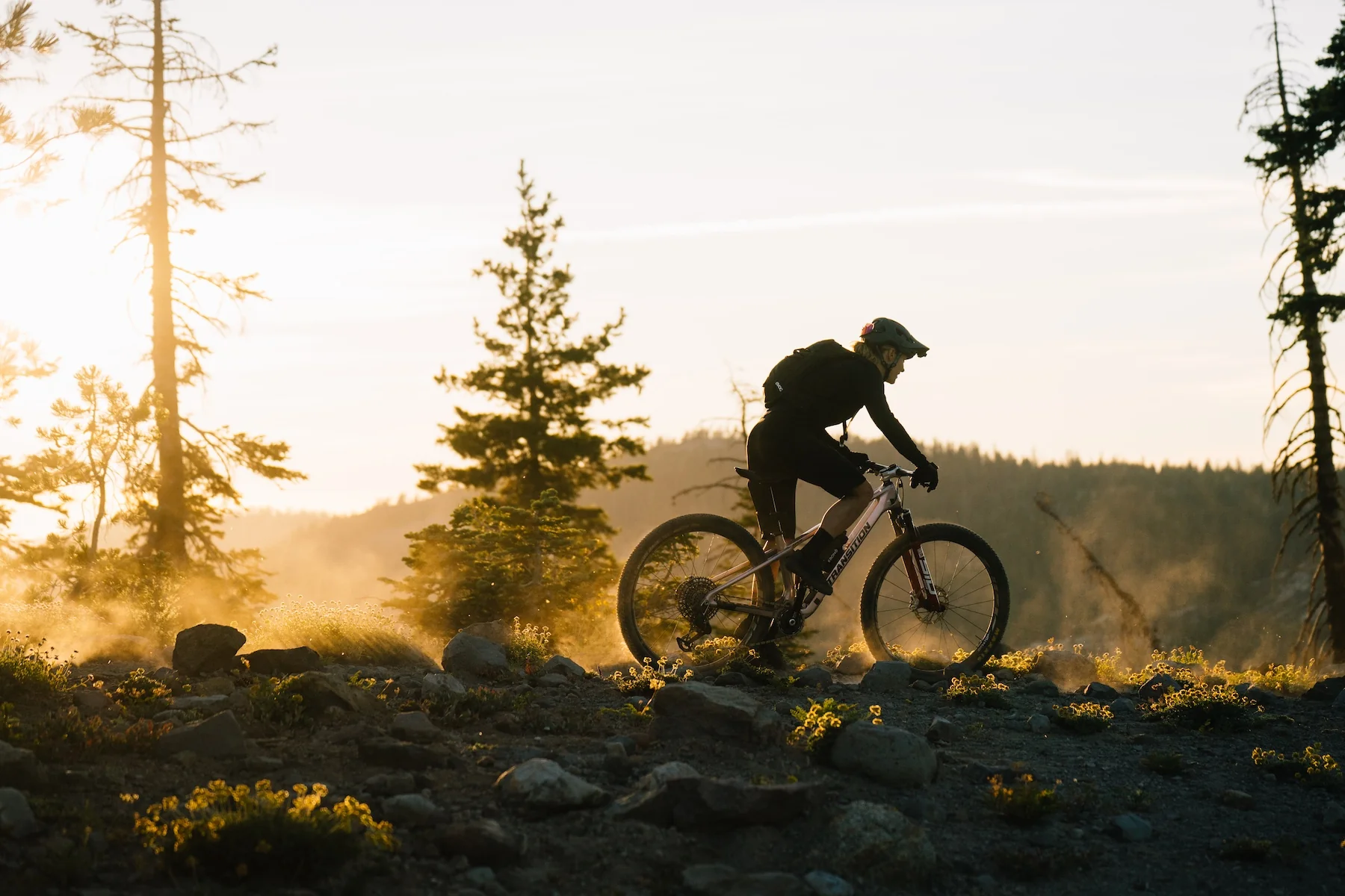 Transition Spur Carbon Eagle 70 Full Suspension Mountain Bike - Image 4