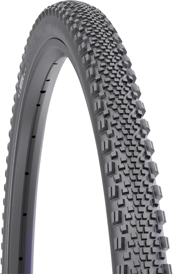 WTB Raddler TCS Tubeless Tire